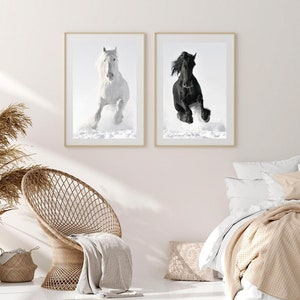May include: Two framed black and white photographs of horses running in the snow. The horse on the left is white and the horse on the right is black.