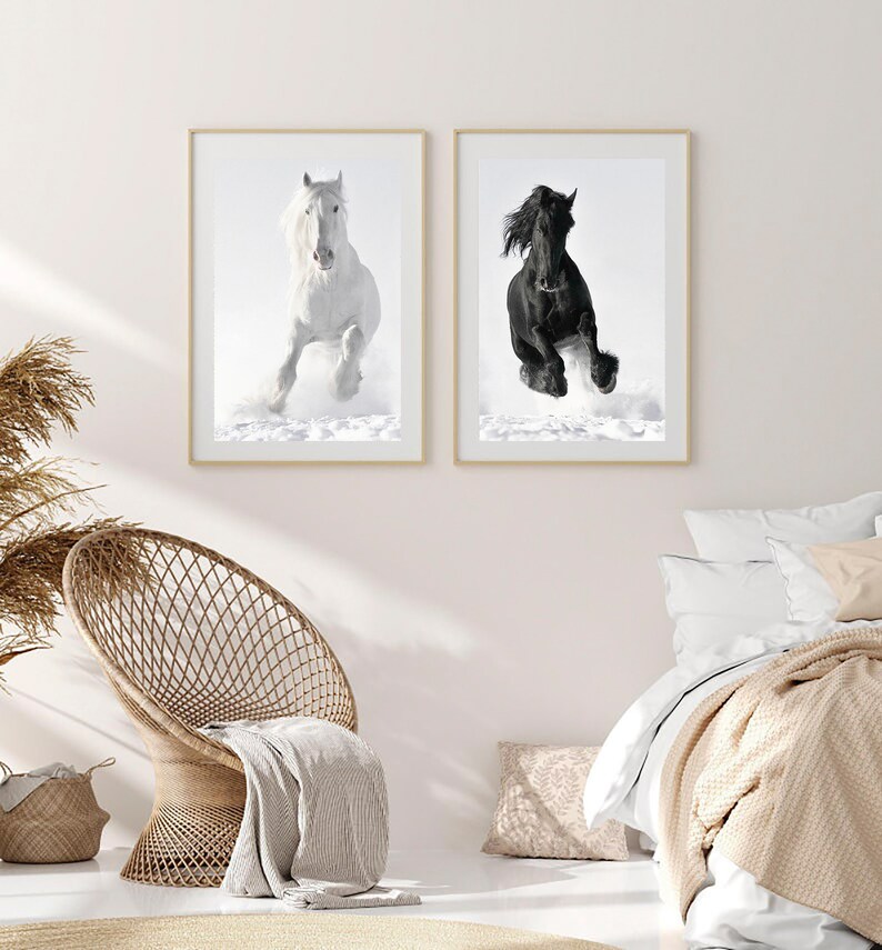 May include: Two framed black and white photographs of horses running in the snow. The horse on the left is white and the horse on the right is black.