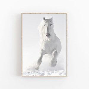 May include: A white horse runs through a snowy field, its mane and tail flowing in the wind. The horse is in focus, while the background is blurred.