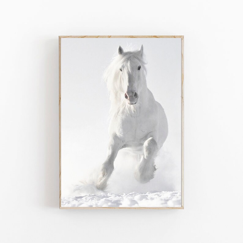 May include: A white horse runs through a snowy field, its mane and tail flowing in the wind. The horse is in focus, while the background is blurred.