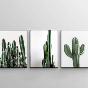 Juego de 3 impresiones de cactus, póster minimalista moderno, impresión suculenta, decoración de pared de cactus, póster de cactus, juego de impresiones del desierto, juego de 3 obras de arte de cactus