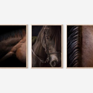 Horses Prints Horses Wall Art Horse Photo Modern Minimalist Poster Boho Art Decor Farmhouse Wall Art Decor Animal Prints Western Room Decor