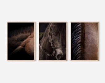 Horse Photo Print Set: Modern Minimalist Farmhouse Decor (Digital Download)