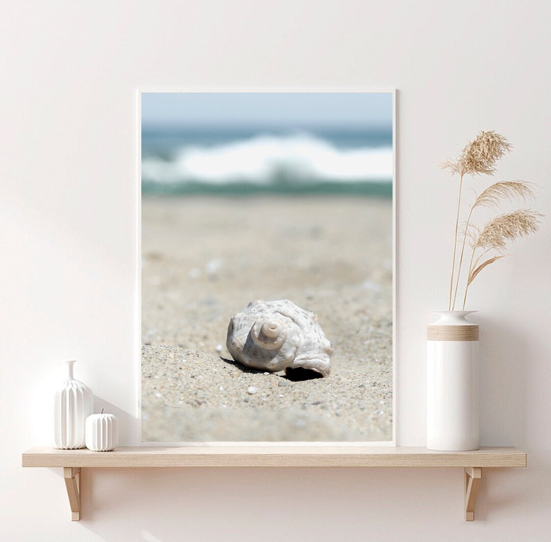 Sea Shells Wall Decor Sea Shells Art Digital Download Sand Beach Print