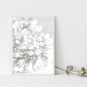 Lilac Wall Decor Print, Botanical Print, Shabby Chic Decor, Pink Floral Wall Print, Blush Pink Wall Art Decor, Bedroom Lilac Blossom Poster image 5