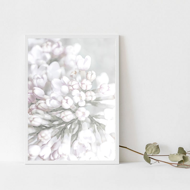 Lilac Wall Decor Print, Botanical Print, Shabby Chic Decor, Pink Floral Wall Print, Blush Pink Wall Art Decor, Bedroom Lilac Blossom Poster image 5