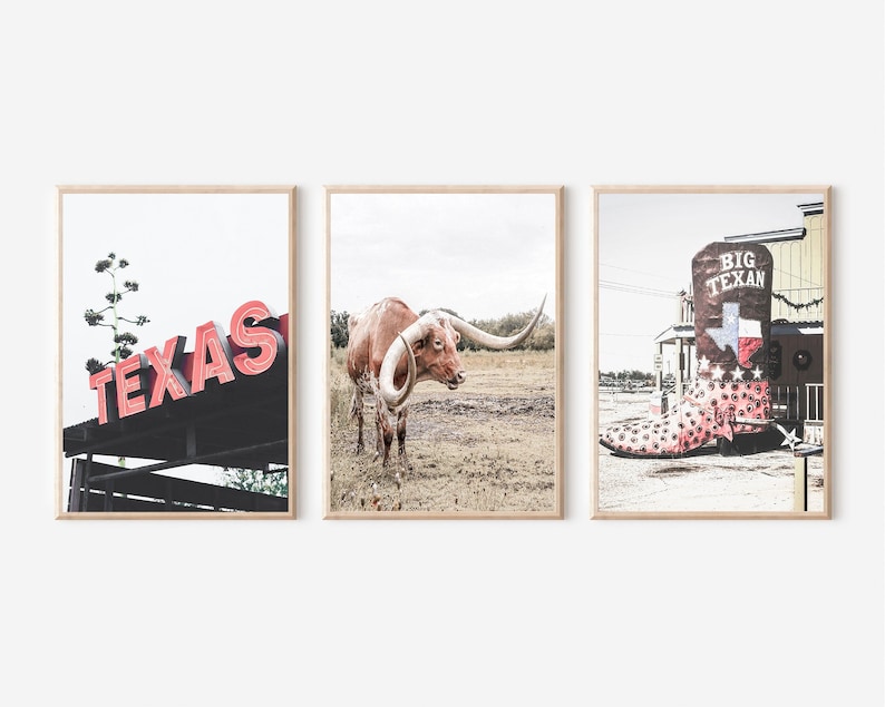 May include: Three framed prints with a Western theme. The first print shows a red neon sign that says "TEXAS". The second print shows a brown and white longhorn steer standing in a field. The third print shows a large red cowboy boot with the words "BIG TEXAN" on it.