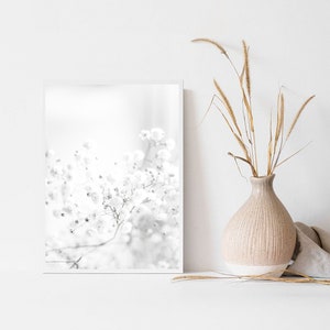 Pode incluir: Uma fotografia a preto e branco de um arranjo floral delicado num estilo minimalista. A imagem apresenta um &uacute;nico ramo de flores brancas com um fundo desfocado.