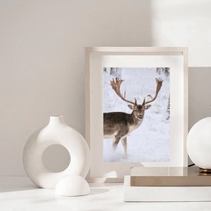 May include: A framed photograph of a deer with large antlers standing in a snowy forest. The deer is looking directly at the camera.