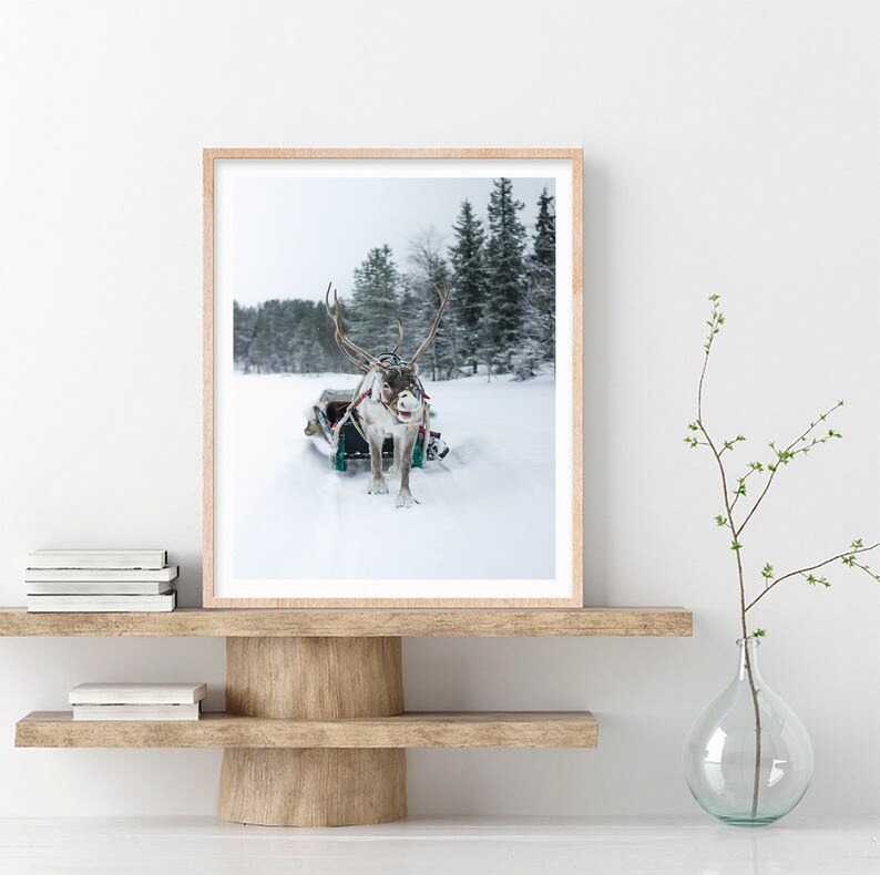 May include: A reindeer pulling a sleigh through a snowy forest. The reindeer is wearing a harness and has antlers. The sleigh is green and red and has a white blanket on it.