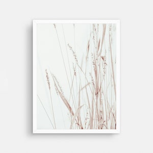 Botanical Print, Dried Grass Art, Kitchen Decor, Farmhouse Art, Beige Art Print, Grass Print, Modern Minimalist Poster, Printable Wall Decor image 3