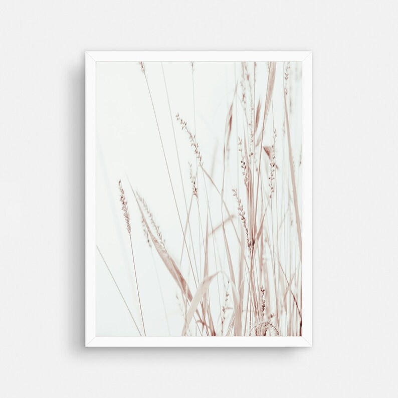 Botanical Print, Dried Grass Art, Kitchen Decor, Farmhouse Art, Beige Art Print, Grass Print, Modern Minimalist Poster, Printable Wall Decor image 3