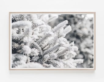 Snowy Pine Tree Photo: Winter Forest Landscape Art (Digital Download)