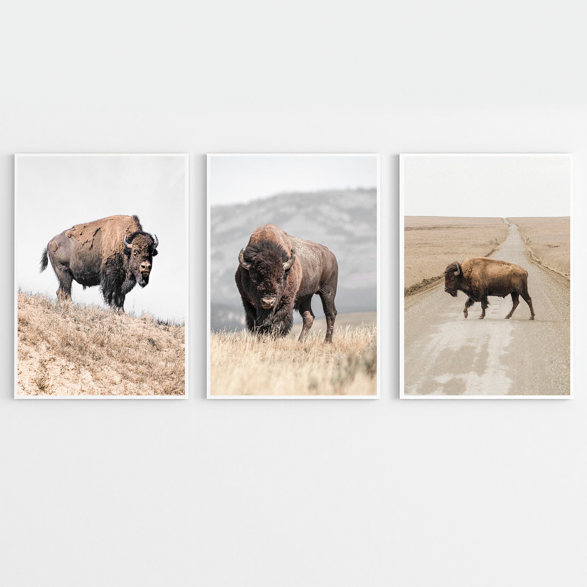 Bison Print Set of 3, Buffalo Print, Bison Print, Bison Wall Art ...
