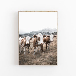 Cow Art Print, Farm Art Print, Farmhouse Decor, Modern Minimalist, Nursery Farm Animal Art, Farm Cow Decor, Highland Cow Print, Animal Print