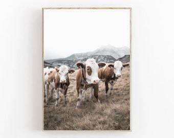 Cow Art Print, Farm Art Print, Farmhouse Decor, Modern Minimalist, Nursery Farm Animal Art, Farm Cow Decor, Highland Cow Print, Animal Print