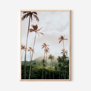 May include: A framed photograph of a tropical landscape with tall palm trees silhouetted against a cloudy sky. The trees are in the foreground, with a lush green hillside in the background.