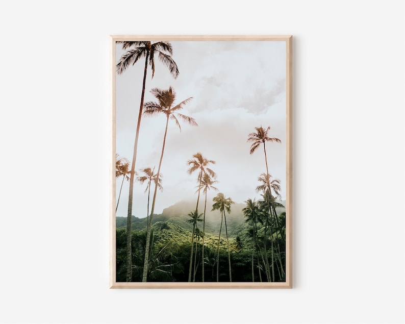 May include: A framed photograph of a tropical landscape with tall palm trees silhouetted against a cloudy sky. The trees are in the foreground, with a lush green hillside in the background.