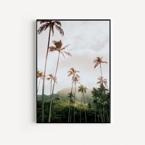 May include: A photograph of a tropical landscape with tall palm trees silhouetted against a cloudy sky. The trees are in the foreground, with a lush green hillside in the background.