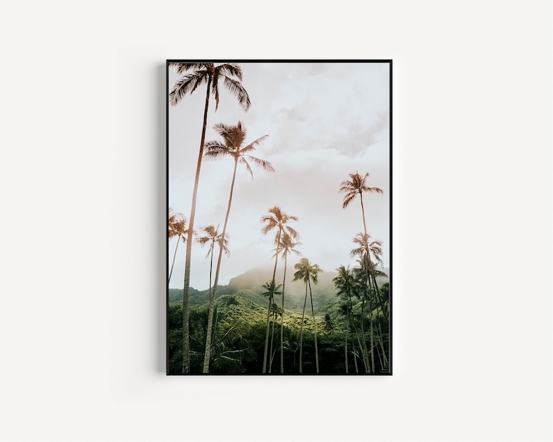 May include: A photograph of a tropical landscape with tall palm trees silhouetted against a cloudy sky. The trees are in the foreground, with a lush green hillside in the background.