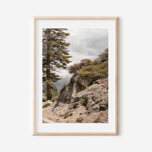 May include: A framed landscape photograph featuring a mountain scene. A tall evergreen tree stands on the left, with rocky terrain and shrubs on the right. The sky is overcast, and a road is visible.