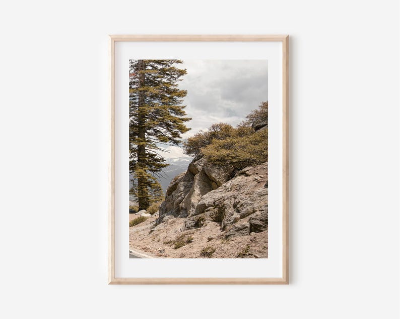 May include: A framed landscape photograph featuring a mountain scene. A tall evergreen tree stands on the left, with rocky terrain and shrubs on the right. The sky is overcast, and a road is visible.