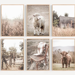 Farmhouse Print Set of 6, Rustic Wall Decor, Highland Cow Print, Nature Wall Decor, Farmhouse Landscape, Wheat Field Print, Set of 6 Prints