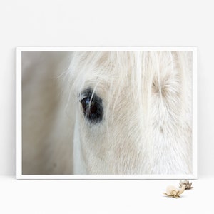 White Horse Print, Icelandic Horse Print, Modern Farmhouse Decor, Boho Printable, Scandinavian Wall Art, Icelandic Horse Close Up, Horse Art image 3