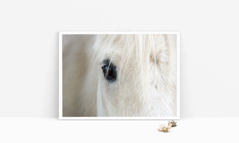 White Horse Print, Icelandic Horse Print, Modern Farmhouse Decor, Boho Printable, Scandinavian Wall Art, Icelandic Horse Close Up, Horse Art image 3
