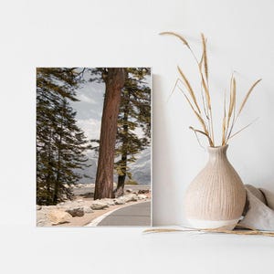 May include: A framed print featuring a scenic mountain road winding through a forest of tall pine trees. The print has a neutral color palette with a light blue sky and snow-capped mountains in the background. A decorative vase with dried grass is on the right.