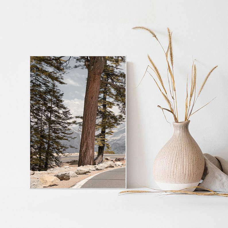 May include: A framed print featuring a scenic mountain road winding through a forest of tall pine trees. The print has a neutral color palette with a light blue sky and snow-capped mountains in the background. A decorative vase with dried grass is on the right.