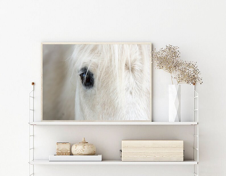White Horse Print, Icelandic Horse Print, Modern Farmhouse Decor, Boho Printable, Scandinavian Wall Art, Icelandic Horse Close Up, Horse Art image 2