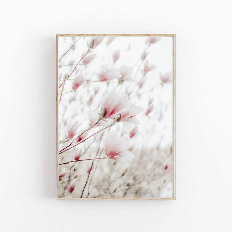 Pink Magnolia Print, Magnolia Wall Art, Printable Wall Decor, Magnolia Flower, Modern Minimalist Poster,Magnolia Art Print, Botanical Prints image 6