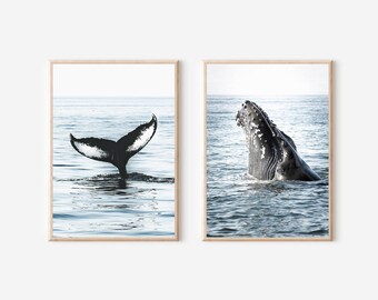 Whale Photography Print Set, Ocean Wall Art (Digital Download)