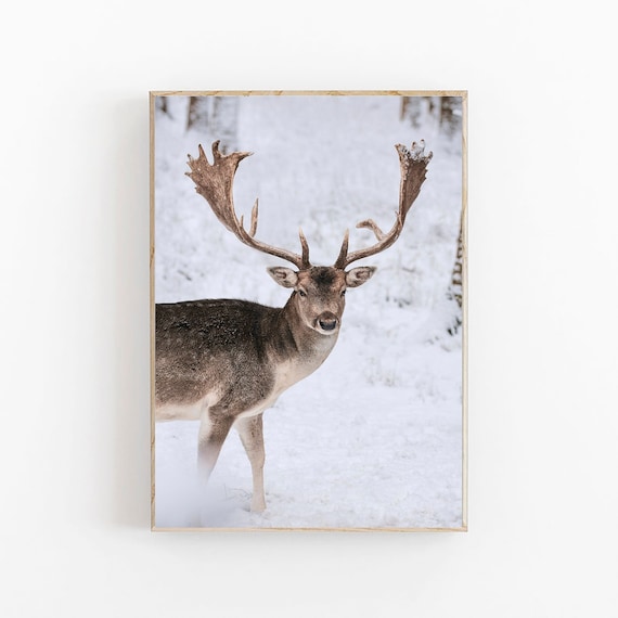 Reindeer Print, Winter Wall Art Print, Scandinavian Art, Snowy Forest Print, Christmas Printable Art, Nordic Art, Forest Printable Wall Art