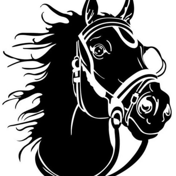 Pferdekopf Pferd  Horse Reiten 66 x 56  cm Wallsticker JDM OEM Tuning Sticker Decal Wandtattoo