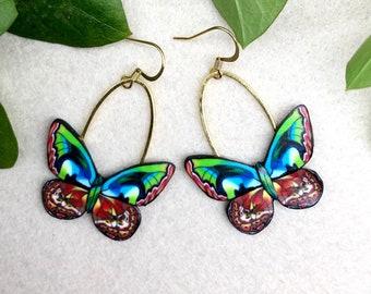 Butterfly Earrings, Drop Earrings, Swing Earrings, Unique Earrings, Polymer Clay Earrings, Gift Ideas, Unusual Earrings