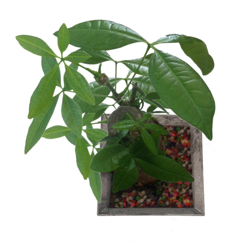 Indoor Garden Planter Mold Ceramic Mold Square Mold Ceramic Etsy