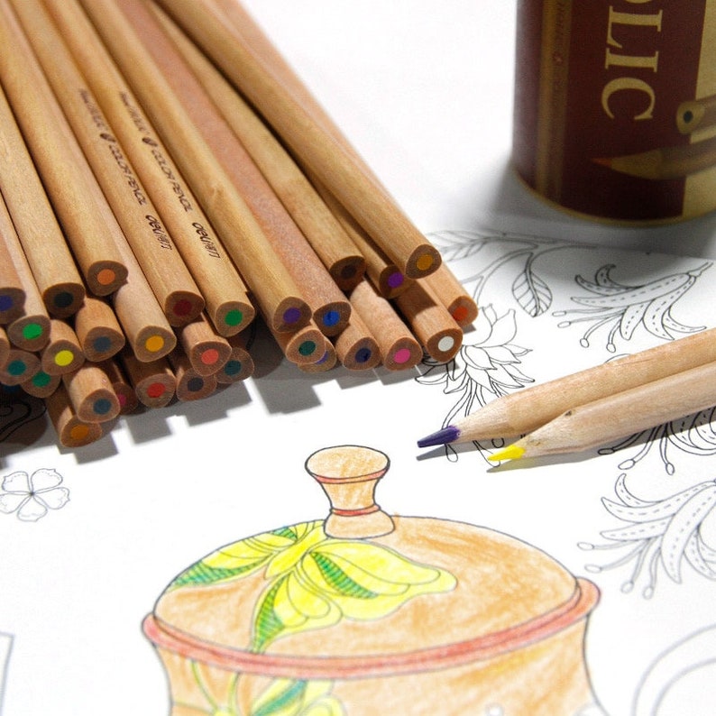 Colored Pencil Set Wooden Pencils Natural Wood Zero Waste 12 | Etsy
