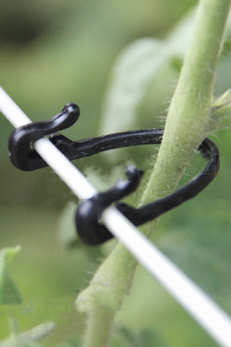 Trellis Garden Ties 100 Pieces Vine Fasteners Floral Tie Etsy