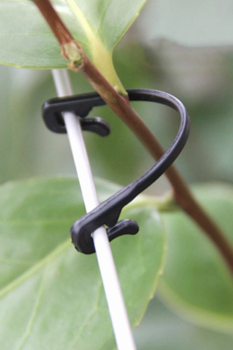 Trellis Garden Ties 100 Pieces Vine Fasteners Floral Tie Etsy