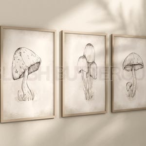 May include: Three framed prints of black and white mushroom illustrations. The first print features a single mushroom with a large cap. The second print features a cluster of three mushrooms. The third print features a single mushroom with a smaller cap.