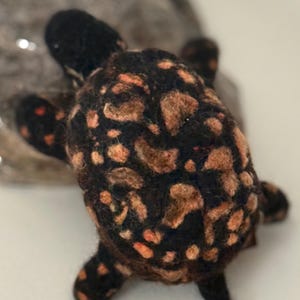 Felted Eastern box Turtle, nature lover gift turtle, wool eastern box turtle, small turtle wool