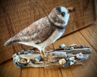 Felted Piping Plover Sculpture, Beach Rock Base, Audubon Gift, needle felt art