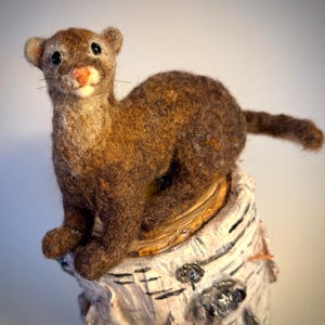 Felted Ferret, Wool felted ferret nature lover gift, animal art, realistic ferret art, wool ferret gift, small ferret, weasel felting