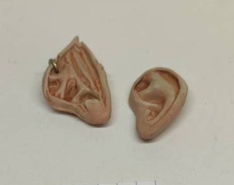 Troll and human ear for cabinet of curiosities