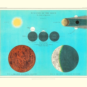 Print van de maansverduistering, antieke astronomiekunst, vintage maandiagram, hemelmuurdecor, wetenschapscadeau, poster maanfase, ruimtekunst.