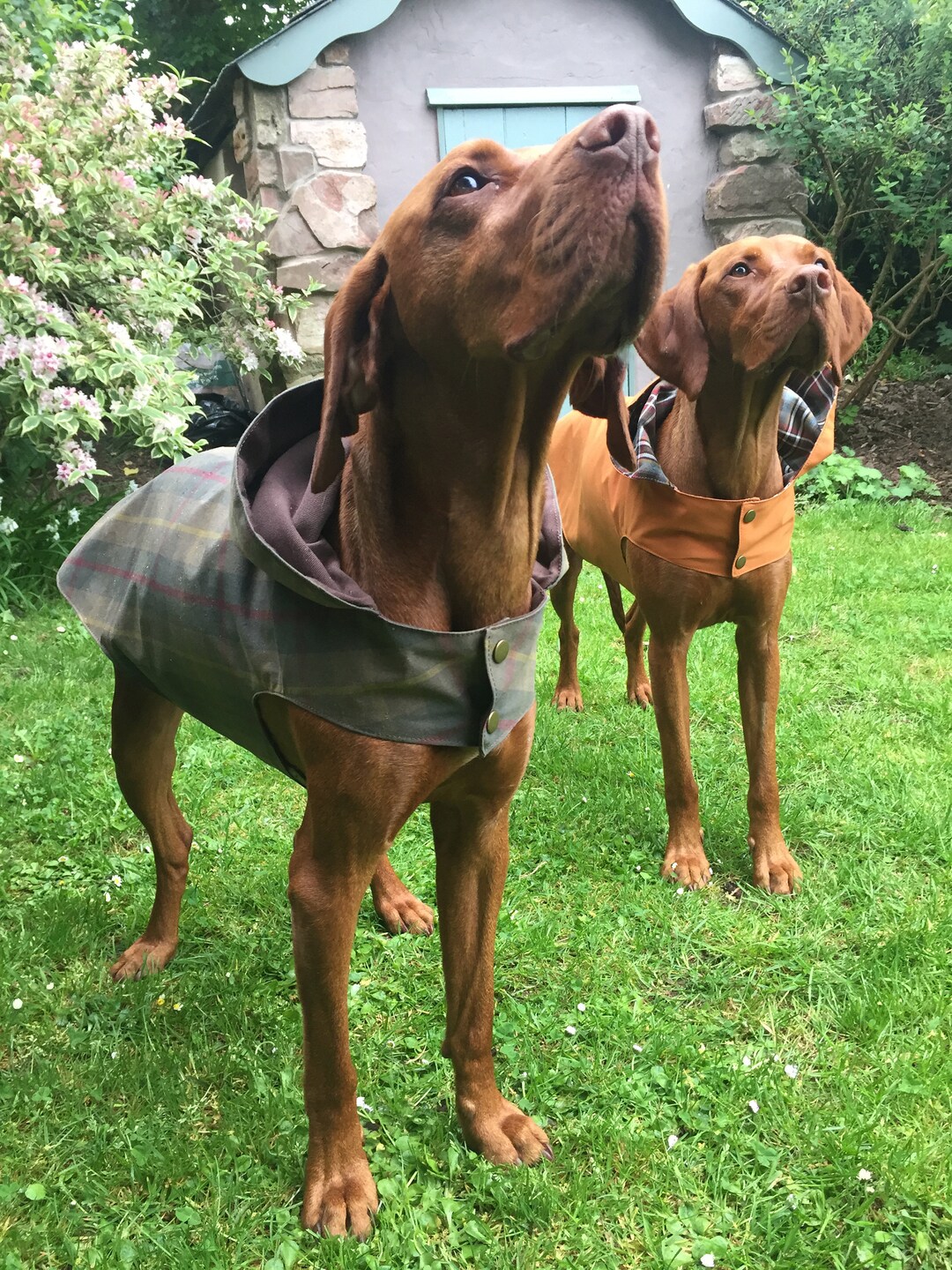 RANNOCK Rain Coat (made to Measure) - Etsy UK