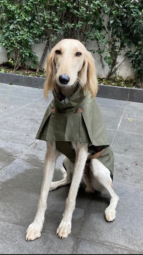 NORDICA (ノルディカ) Dobermann Rain Coat Dobermann Rain Coat Nordica - Skis and Boots – Official website