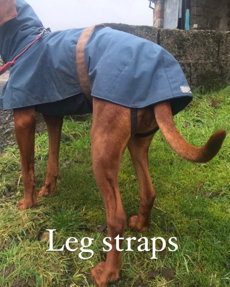 NORDICA (ノルディカ) Dobermann Rain Coat Dobermann Rain Coat Nordica - Skis and Boots – Official website